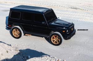 2018 Mercedes-AMG G63 on HRE Wheels (TR106)